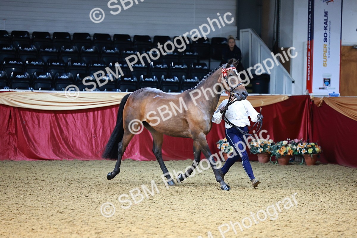 SBM_22197 - Class 902 - Supreme Final - IH Diamond