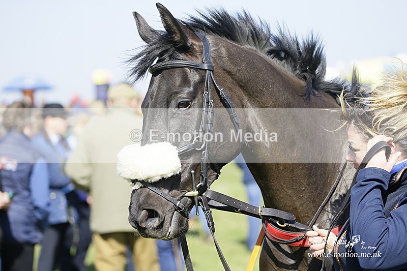 PtP 190322 141 - Wilton Hunt PtP Milborne St Andrew 19/03/22