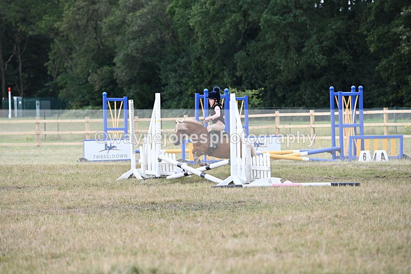 WJ6_8426 - 40cm Time 10:25 to 10:56