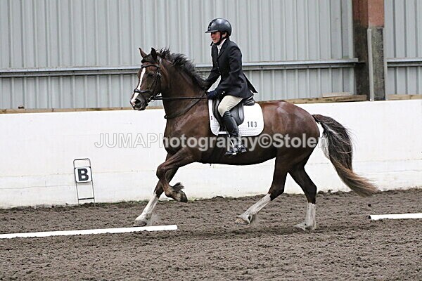 SIAL4673 - CAbin Dressage 5th july 2025