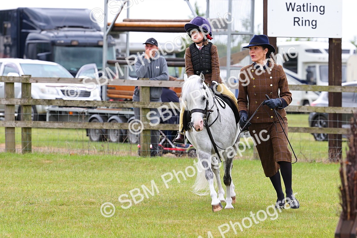 SBM_08255 - Class 42-43 - LIHS BSPS Heritage Working Sports Pony