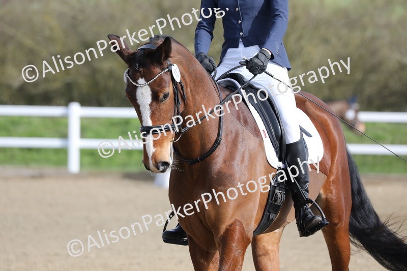 20260314-0194 - DR1 - Intro 1