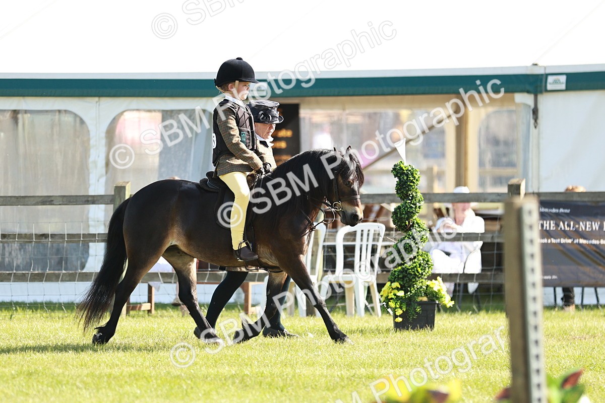 SBM_11359 - Class 106-107 - BSPS LIHS Working Sports Pony