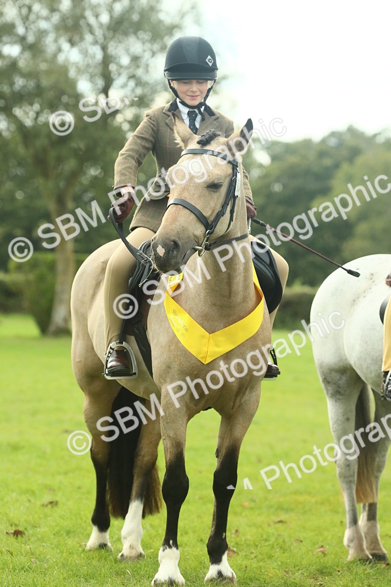 SBM_74121 - S 61 - Show Pony & Show Hunter Pony Ridden