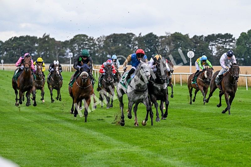 280826-Race 4-Deep Havana-4494 - Race 4 4pm Ivegate Building Handicap