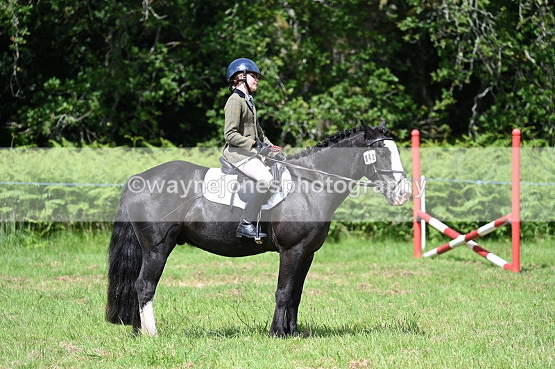 WJ7_1803 - Class 9 Pony Club Pony