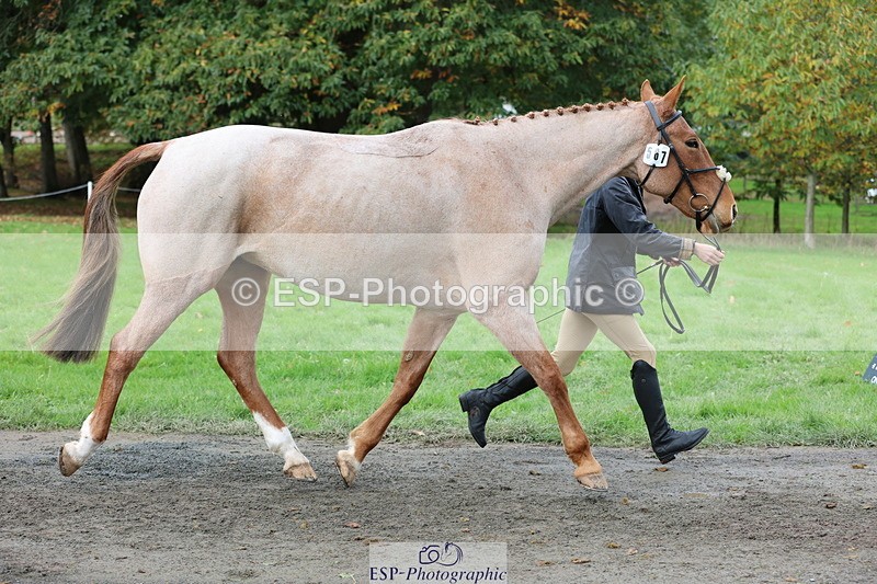 251026A-121340-25972 - G-567-Imogen.Peck