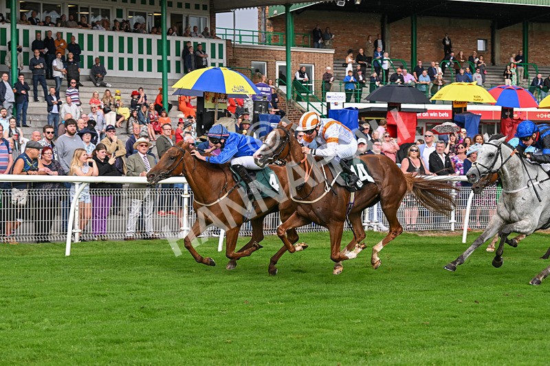 280824-Race 5-Hidden Pearl-4787 - Race 5