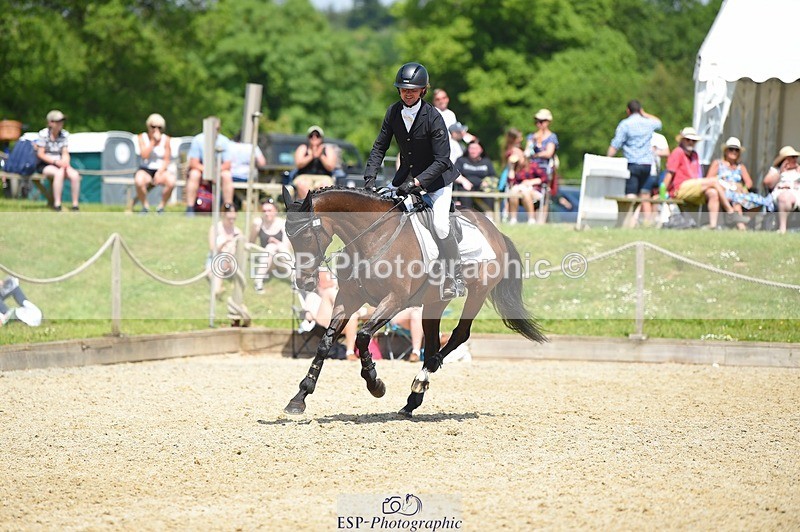 230528-121132-15572 - 361-FINCH_FANCY-Ben_Lee_Liles-SUNTrotUp+SJ