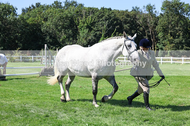 3E7A8484 - Class 4: Novice working Hunter