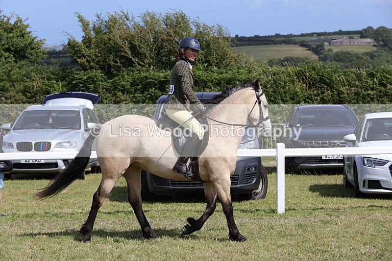1X9A5524 - Class 38: NPS Novice Ridden Small and Large Breeds