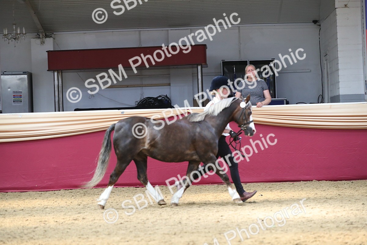 SBM_15142 - Class 501 M&M IH Supreme Final