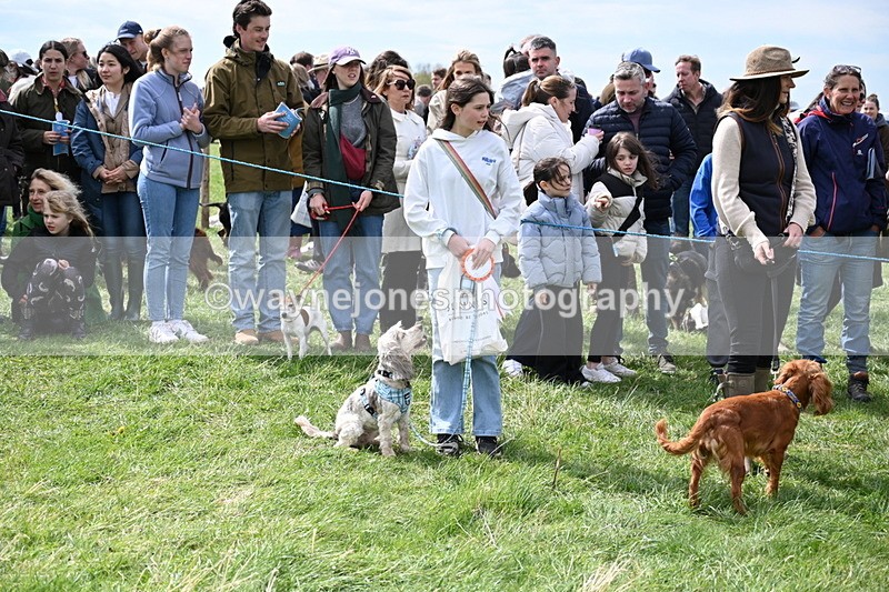 WJ6_8377 - Class 4 Prettiest Bitch