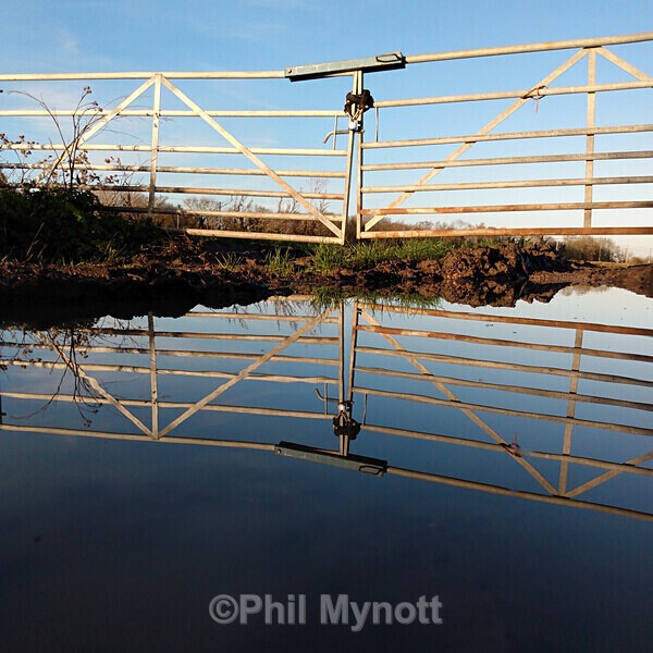 PhotoMynottART062 - Photo Mynott ART Images