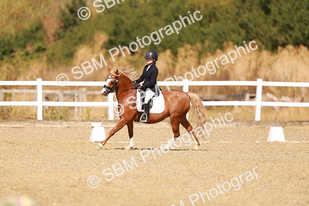 SBM_017590 - Class 9 - N5 Bronze 10.33.11.36