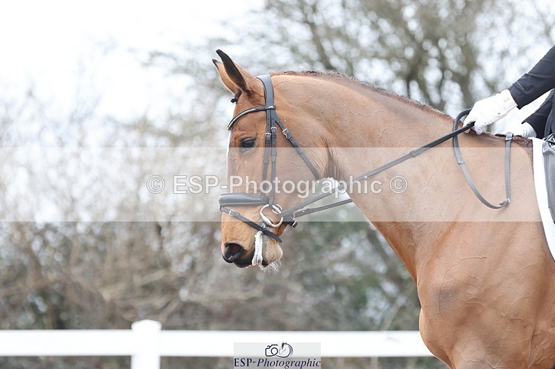 250216-125552-05622 - 200-Joe.Roome-Acqua.Marina.Della.Caccia