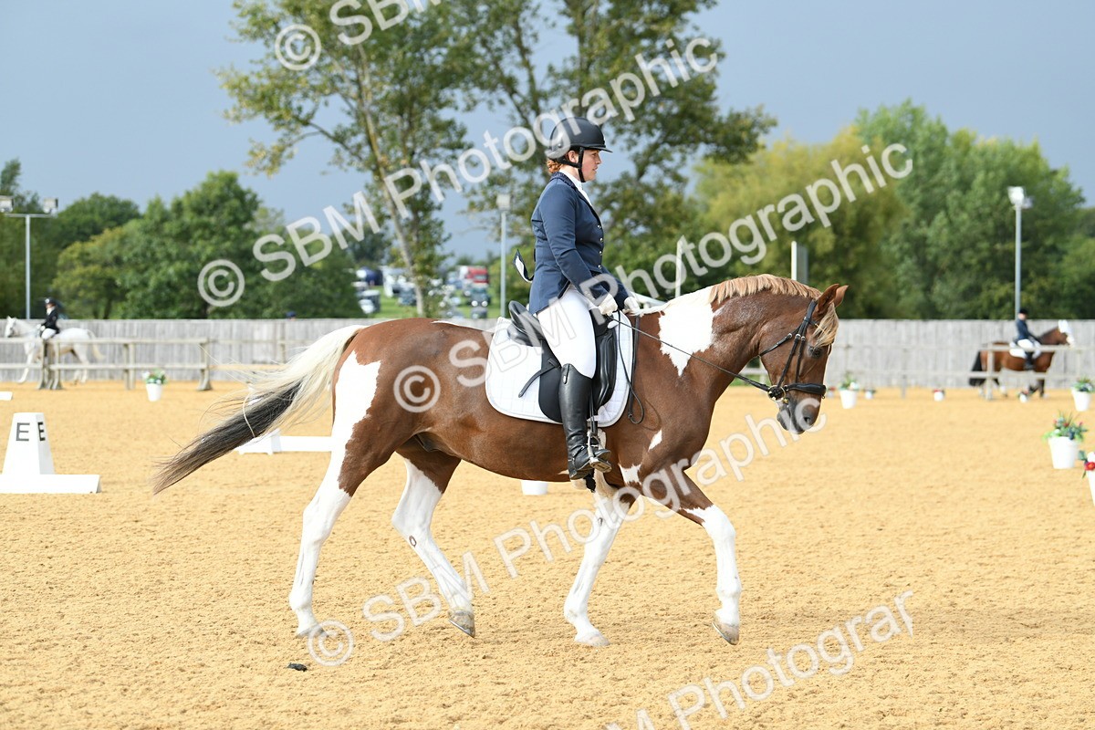SBM_11038 - D28 Elementary Taster Elementary 42