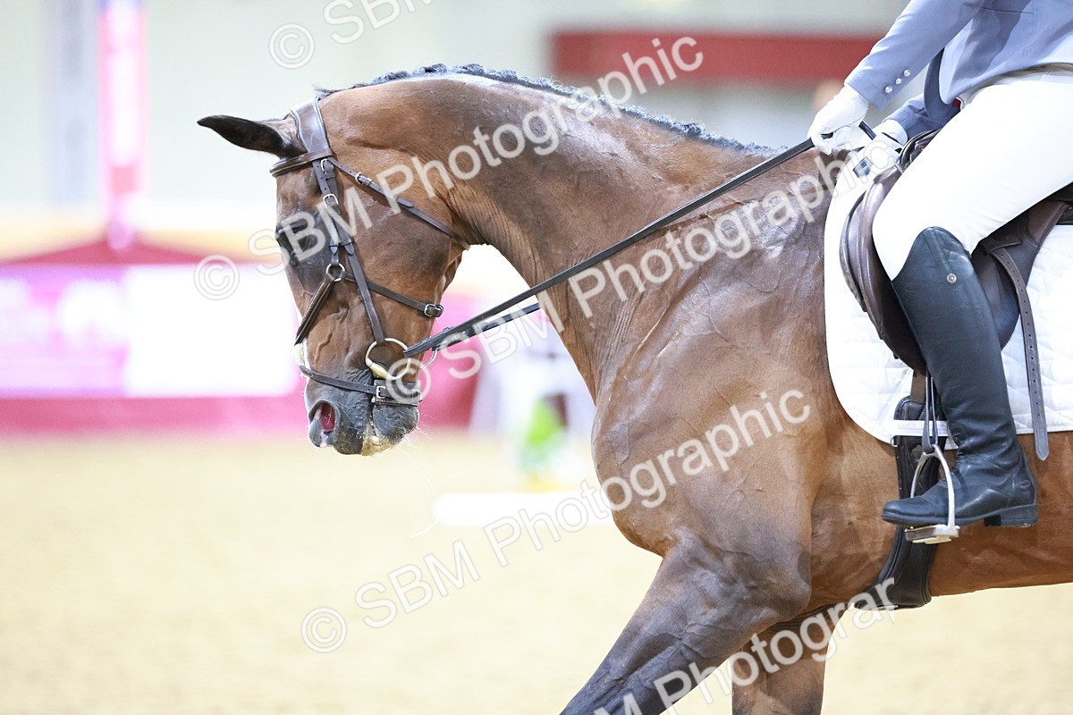 SBM_09774 - Class 61 - Dressage to Music