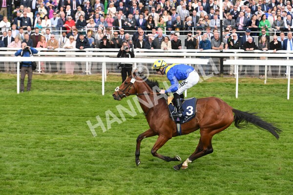 yr12052022r4-41 - Race 4 3.35pm Al Basti Equiworld Dubai Dante Stakes