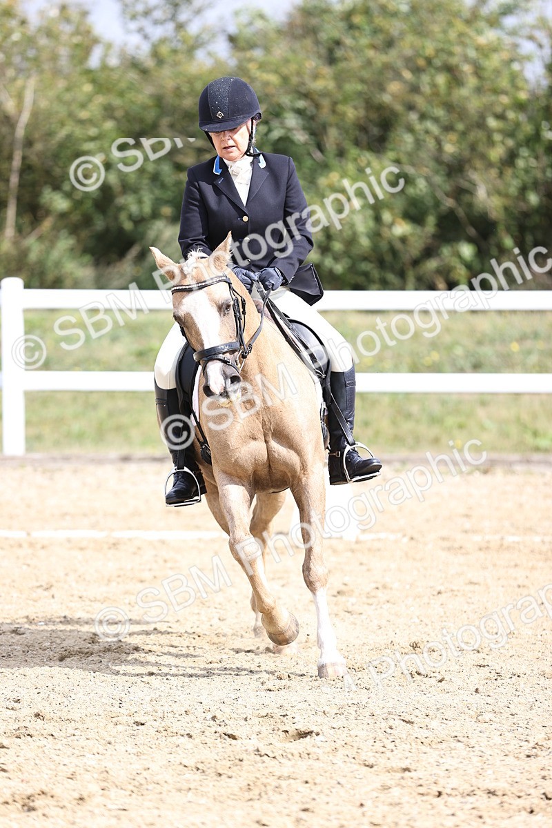 SBM_016201 - Class 14 - Novice 23 - 10.29-11.32