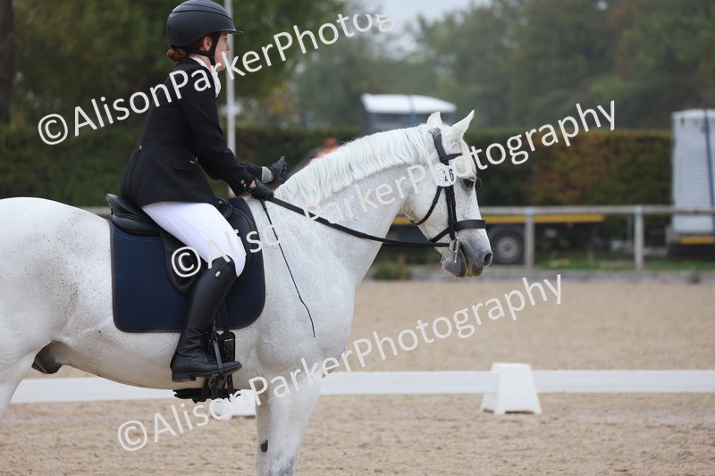 20251012-0508 - Class 4 - Novice 6