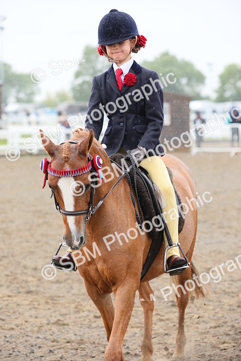 SBM_20620 - Class 804 - Ridden Veteran Pony