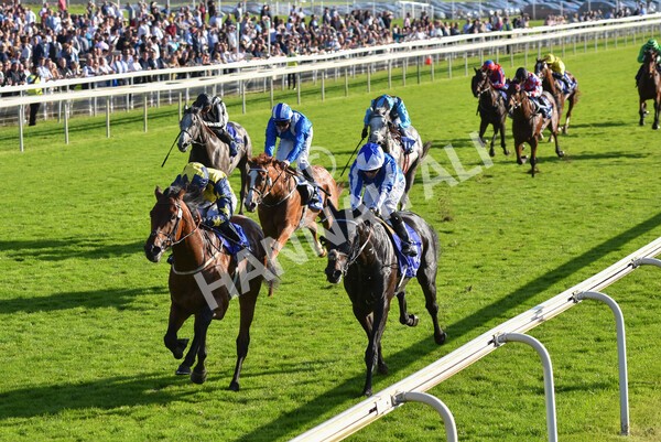yr08102021r4-29 - Race 4 3.50pm Casumo Dare To be Different Handicap