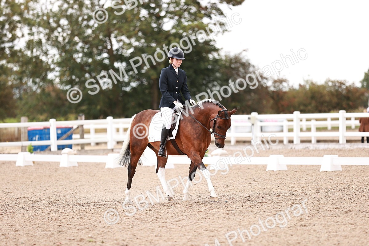 SBM_04004 - Class 36 - Prelim 5