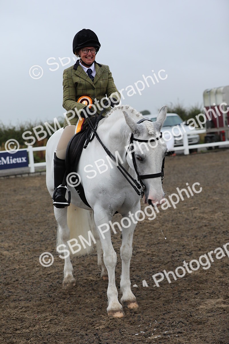 SBM_20385 - Class 803 - Ridden Combination 65+