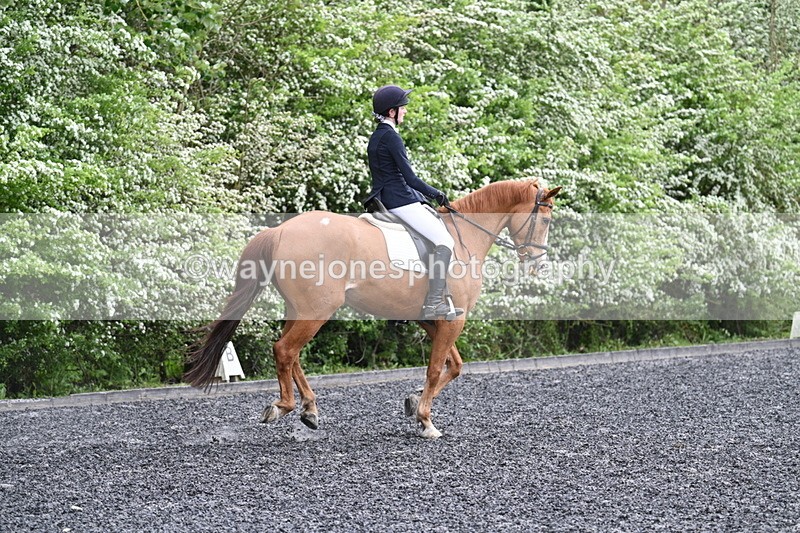 WJ7_1505 - Time 14:58 to 15:03