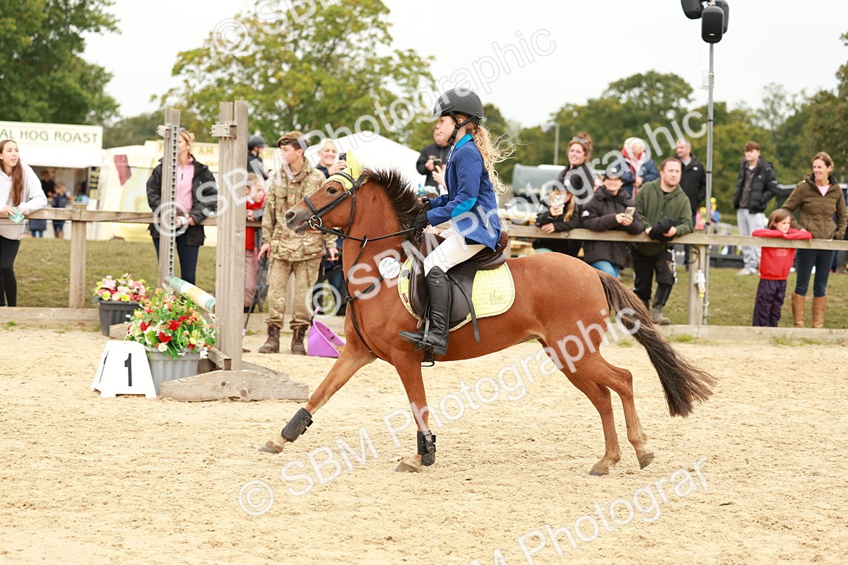 SBM_58143 - J11 - Junior Pony 50cm Championship