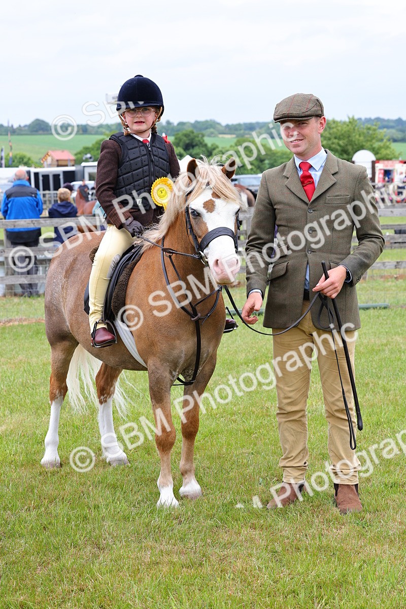 SBM_08369 - Class 42-43 - LIHS BSPS Heritage Working Sports Pony