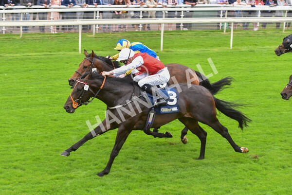 yr24092021r2-30 - Race 2 2.05pm William Hill Extra Places Races Stakes