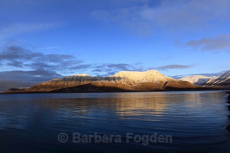 Hiortfjellet 2623 - Colours of Svalbard