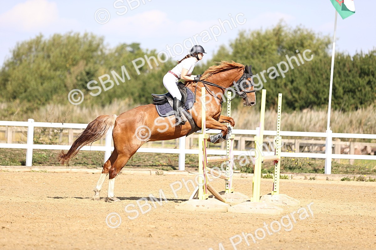 SBM_005639 - Class 9 - Senior British Novice - 90cm