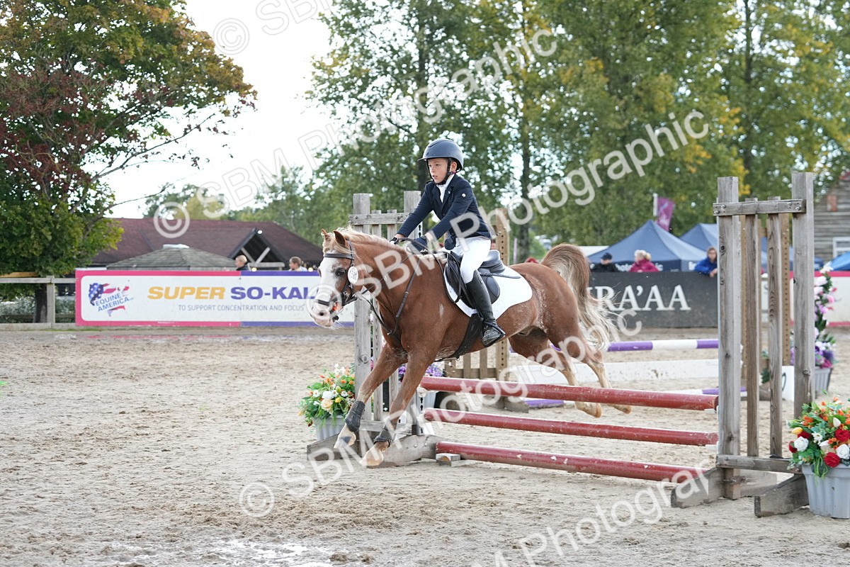 SBM_39921 - J6 - Junior Pony 55cm Championship