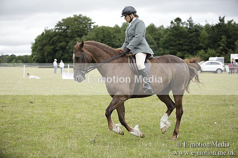 BVR160717-1334 - Ring 1 BVRC Show 16/07/17