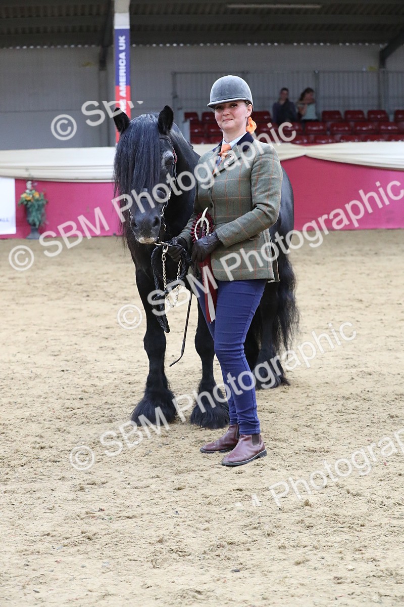 SBM_05047 - Class 8R- Regional -IH Veteran