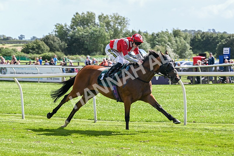 050825-Race 3-Sophar Sogood-5790 - Race 3