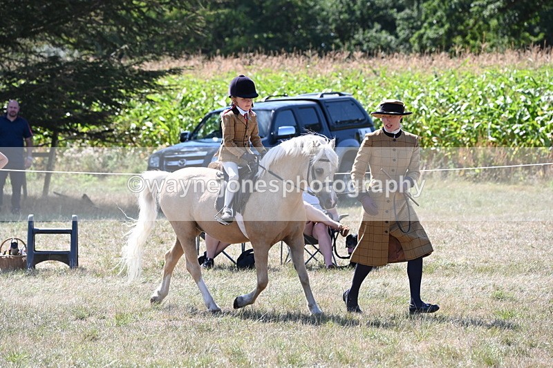 WJ6_8039 - Class 36 Lead Rein