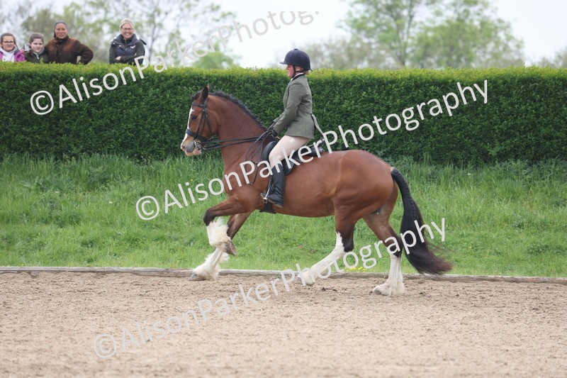 20260504-1133 - Class 14 - Cob and Hunter