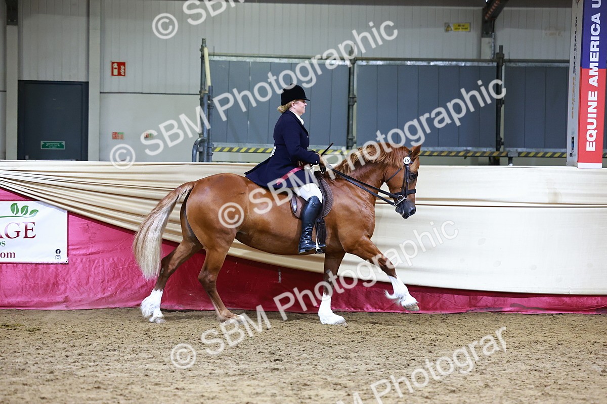 SBM_23588 - class 906 - Supreme Final - Ridden Pre Vet