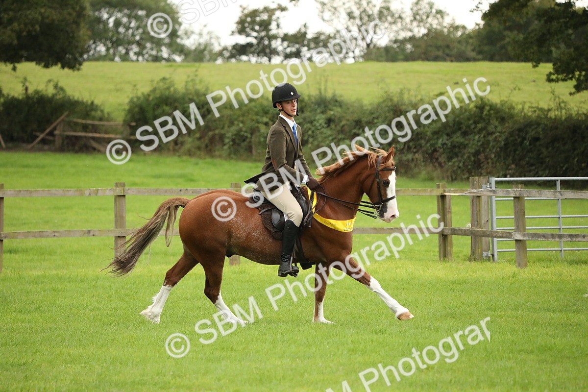 SBM_73882 - S41 - Ridden Equitation (Best Rider)