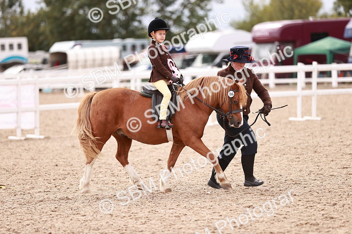 SBM_18418 - Class 418 - Best Condition - Jnr