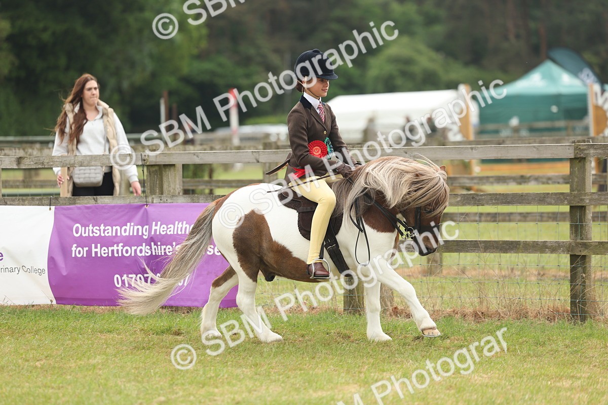 SBM_08905 - Class 78-80 - Ridden M&M Non Welsh Ponies