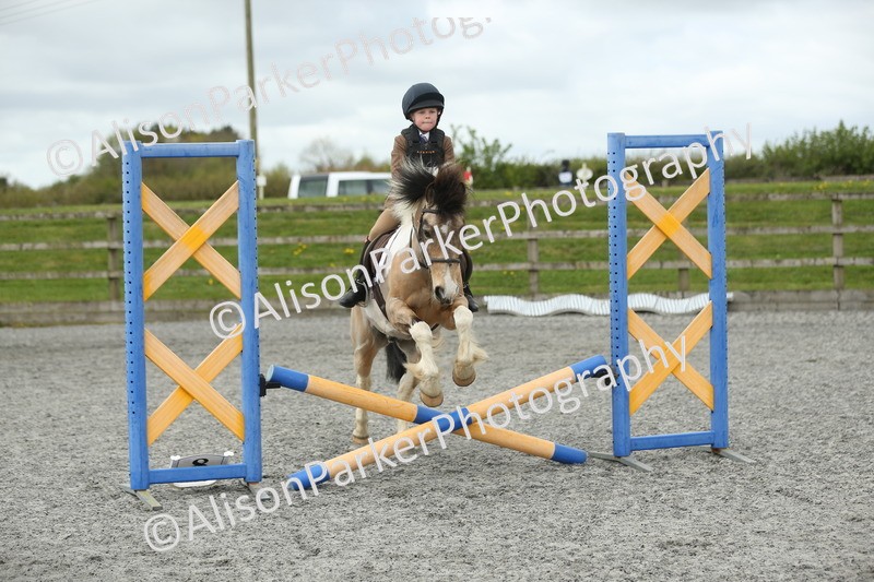 20260412-0647 - Show Jumping