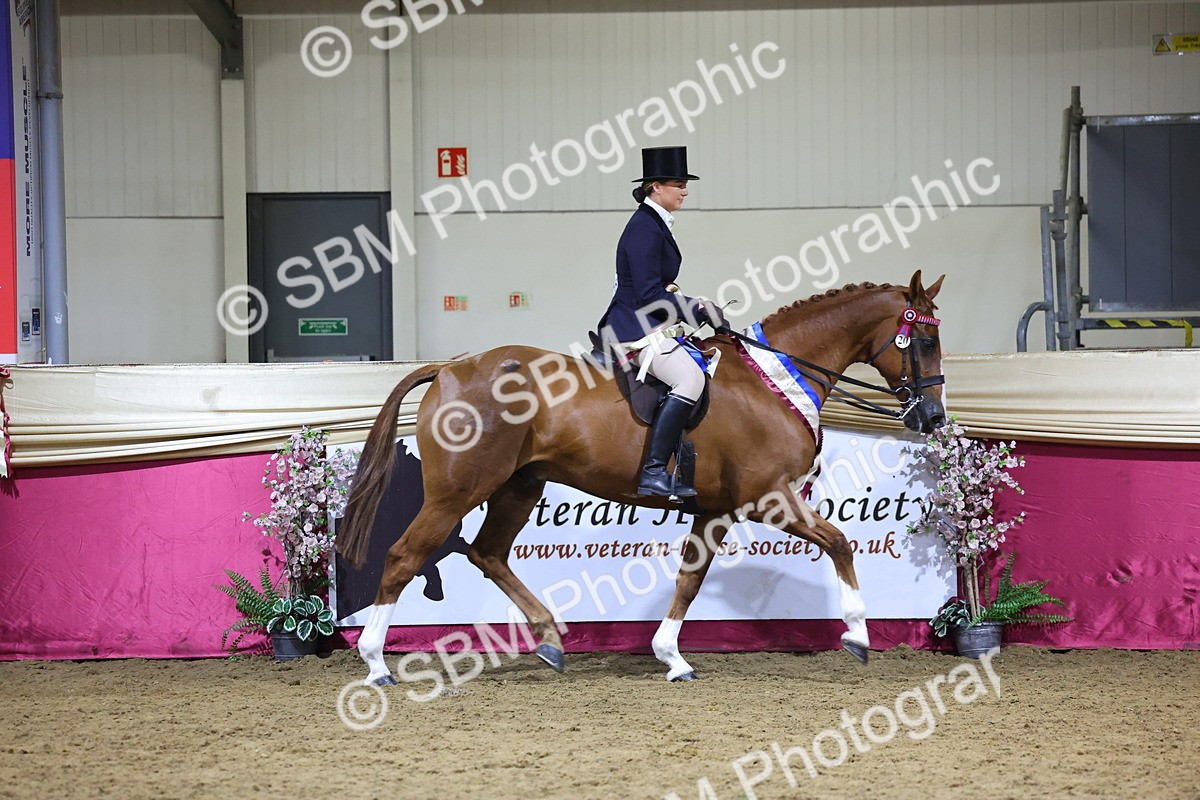 0B8A4499 - Class O Ridden Show Horse Champ