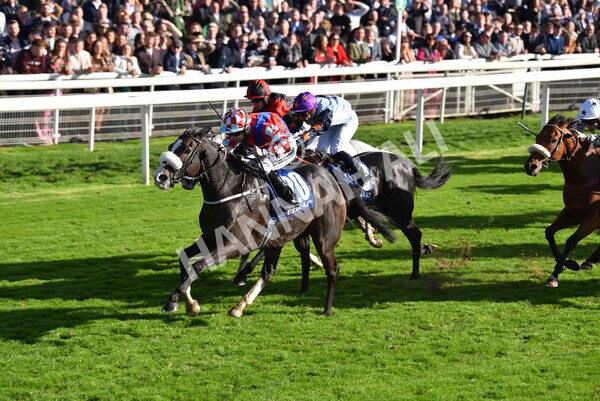 yr08102022r4-40 - Race 4 3.15pm The Coral Sprint Trophy