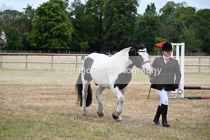 WJ6_4370 - Class 10 Coloured In-hand