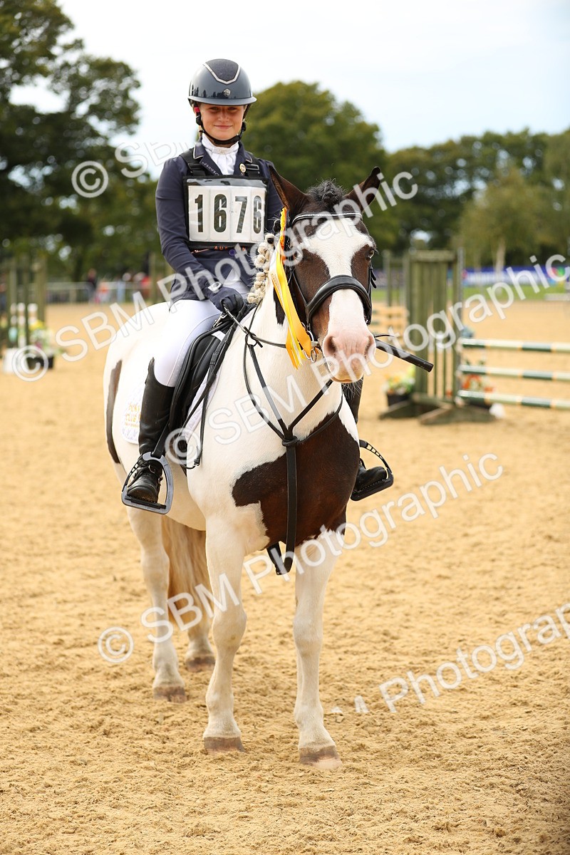 SBM_71312 - J18 - Junior Pony 85cm Championship